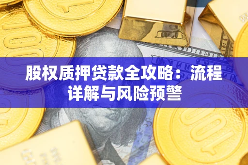 武汉股权质押贷款全攻略：流程详解与风险预警