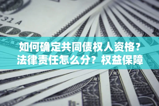 武汉如何确定共同债权人资格？法律责任怎么分？权益保障技巧揭秘！