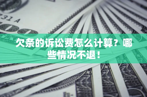 武汉欠条的诉讼费怎么计算？哪些情况不退！