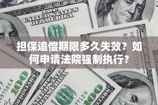 武汉担保追偿期限多久失效？如何申请法院强制执行？