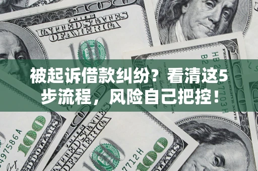 武汉被起诉借款纠纷？看清这5步流程，风险自己把控！