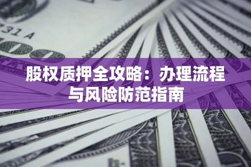 武汉股权质押全攻略：办理流程与风险防范指南